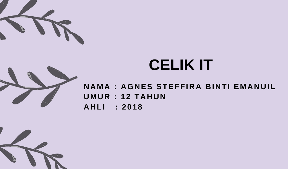 CELIK-IT-Q3-2020