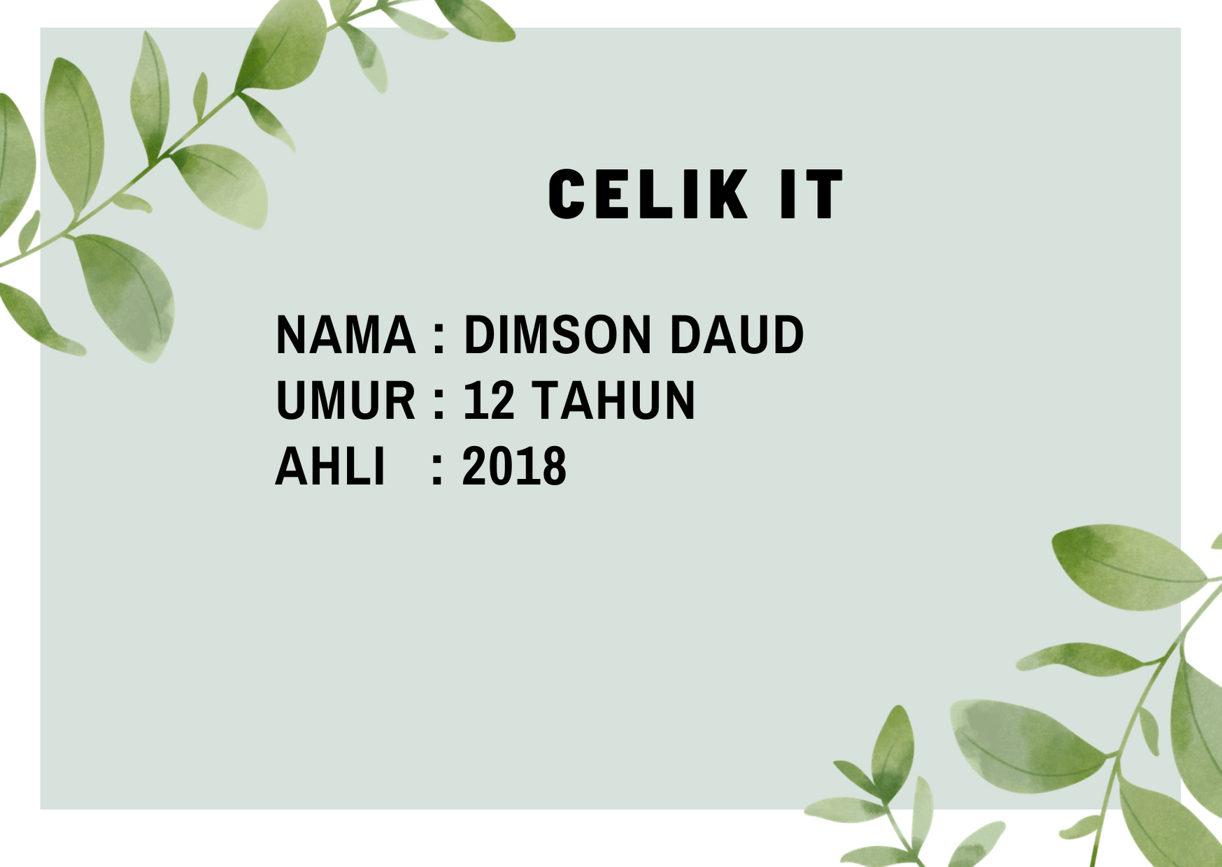 Dimsondaud