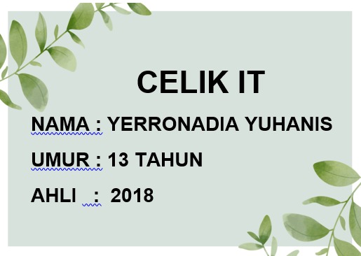 celik-it